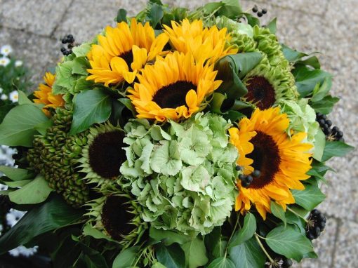 Seizoensbloemen