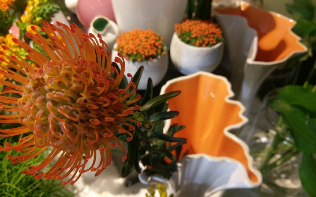 Koningsdag Haren en Groningen