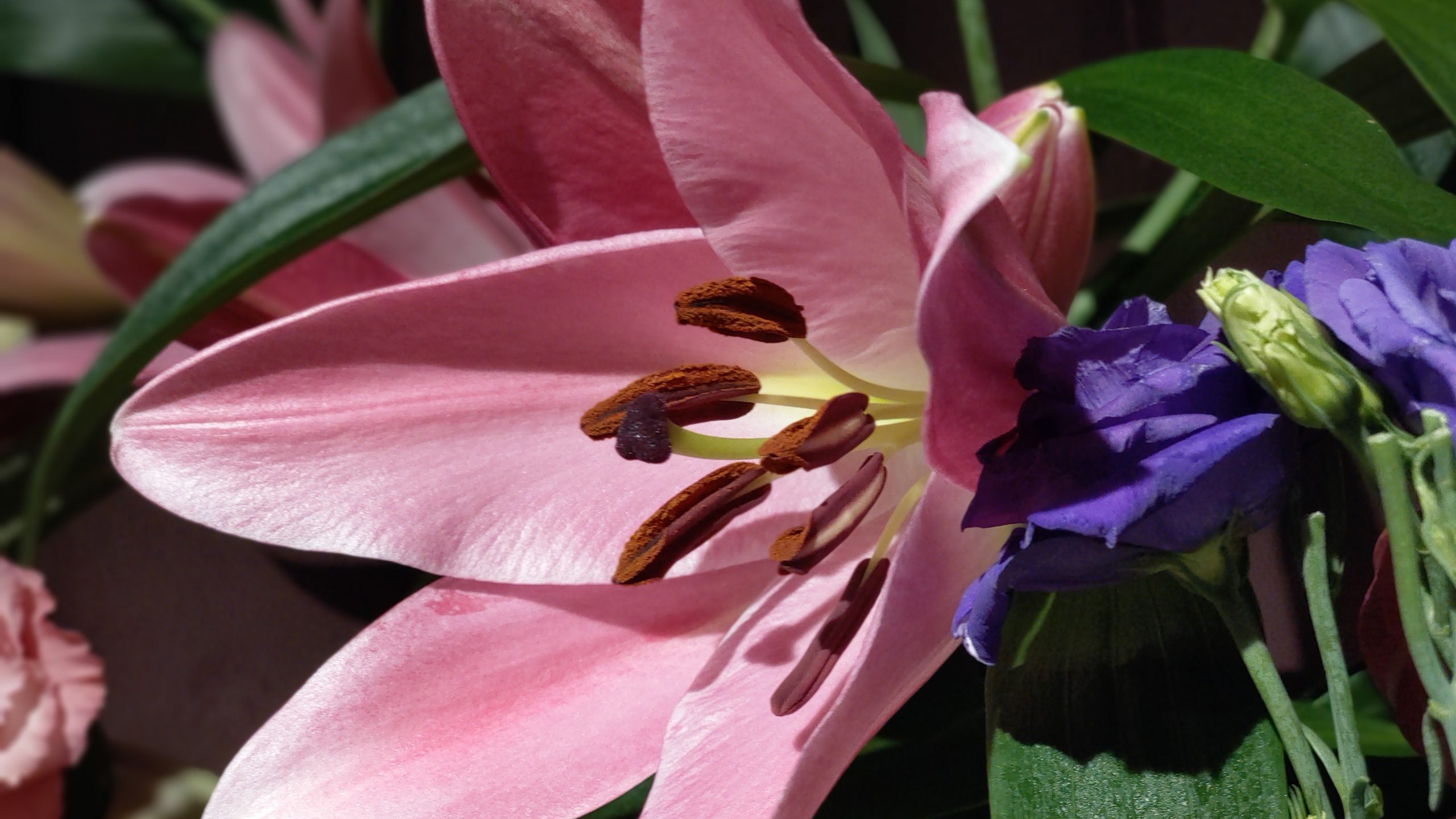 Bloemsierkunst Groeneveld - nieuwjaar - vuurwwerk