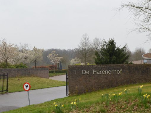 Begraafplaats Harenerhof Haren