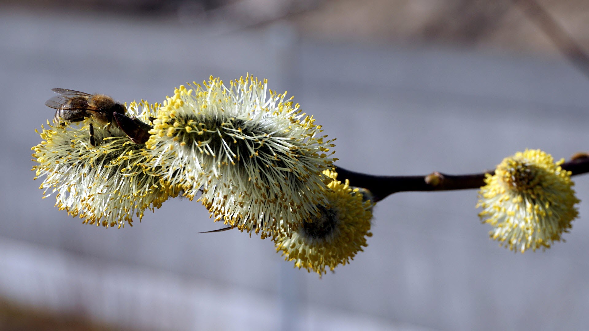 Bereikbaar voor bestellingen, bezorging, buitenverkoop en winkelbezoek op afspraak