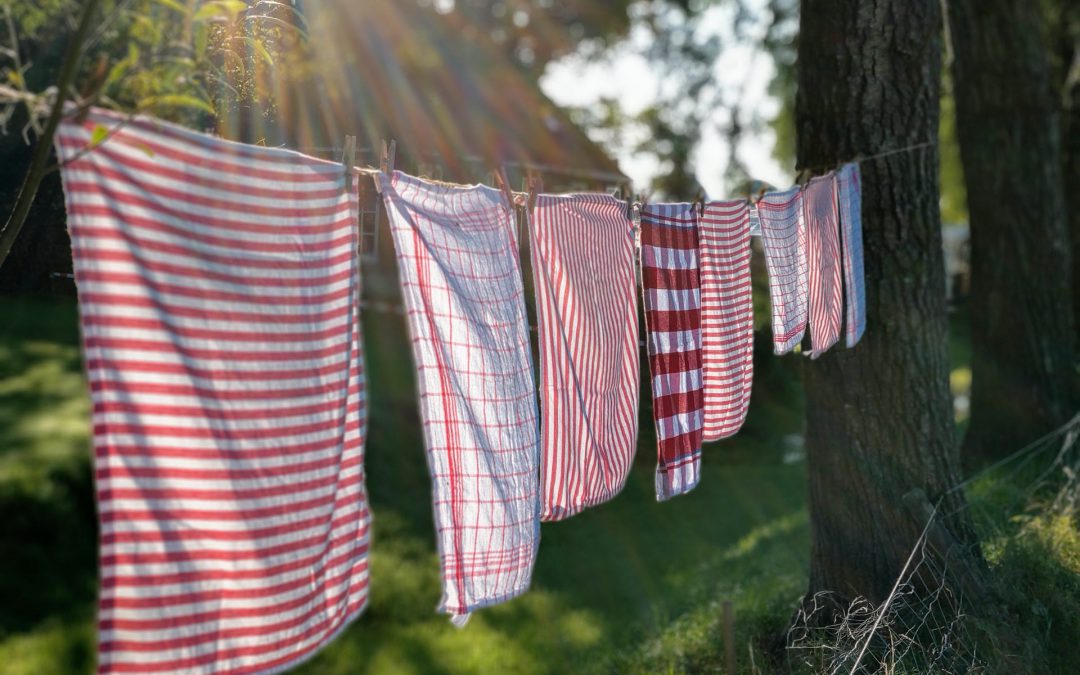 Zomergroet en zomeraanbod