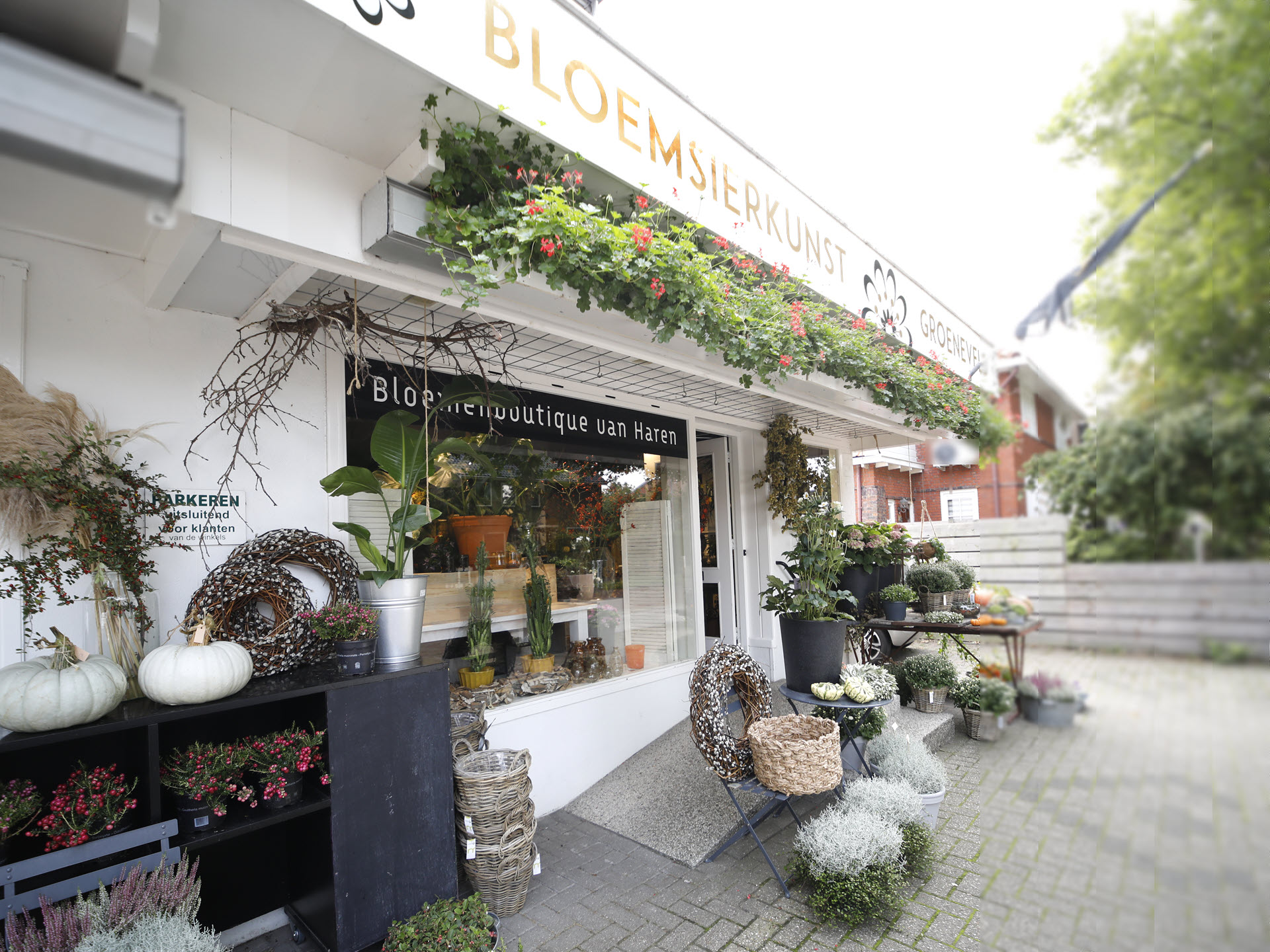 Bloemsierkunst Groeneveld bloemist in Haren / Groningen sinds 1973