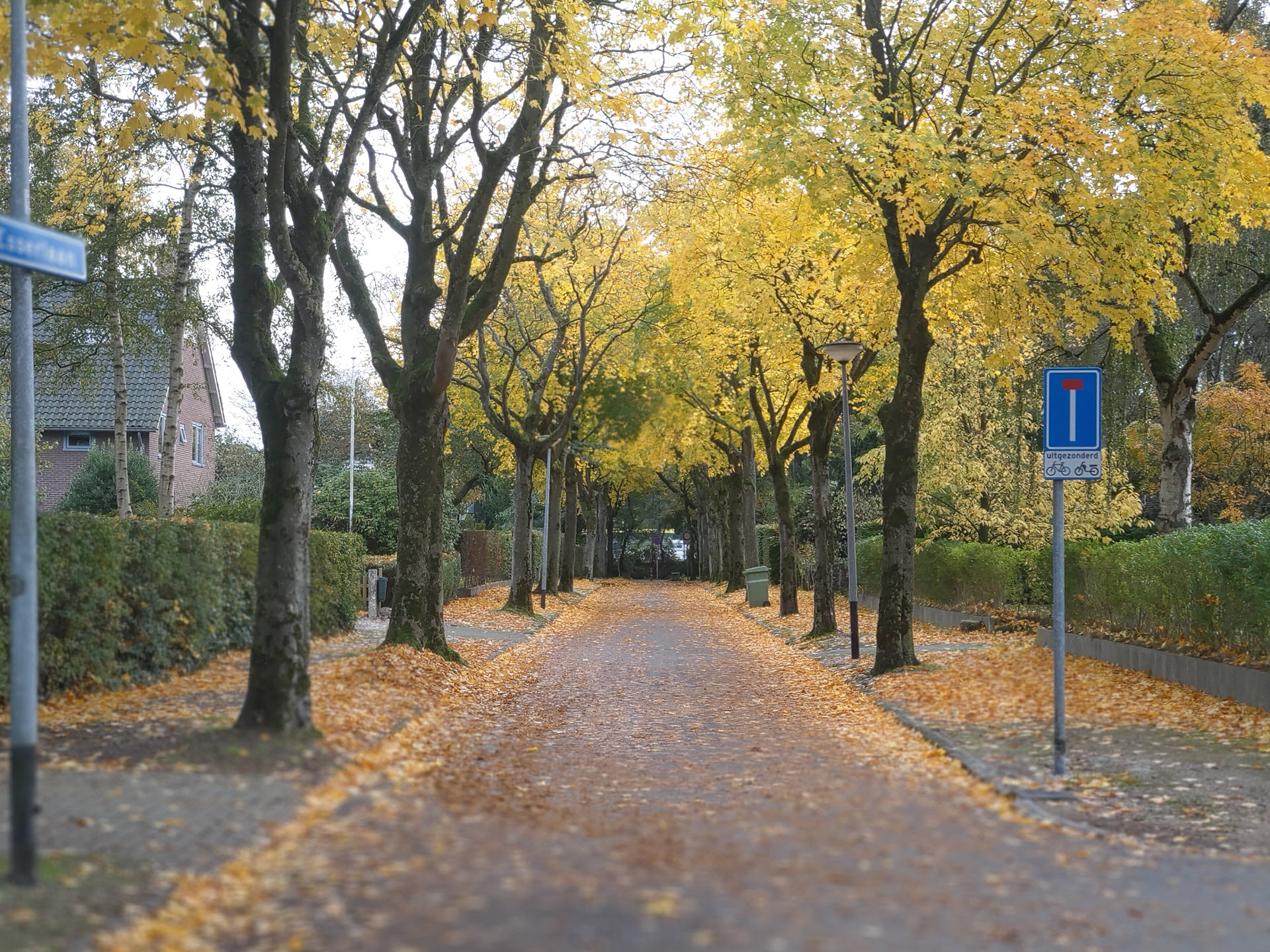 Bloemsierkunst Groeneveld Herfst in Groningen