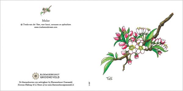 Luxe bloemenkaarten Bloemsierkunst Groeneveld