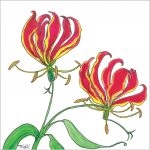 Luxe bloemenkaart nr. 7 - Gloriosa - 13x13 cm +€3,50