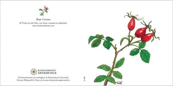 Bloemsierkunst Groeneveld boeket bestellen met luxe herfst bloemenkaart