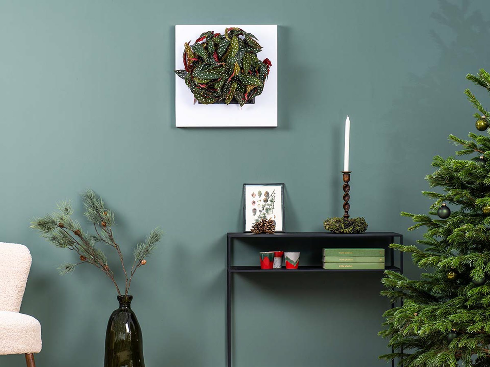 Een duurzaam groen kerstgeschenk