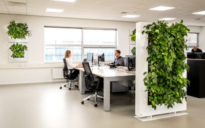 Een gezond kantoor met verticaal groen