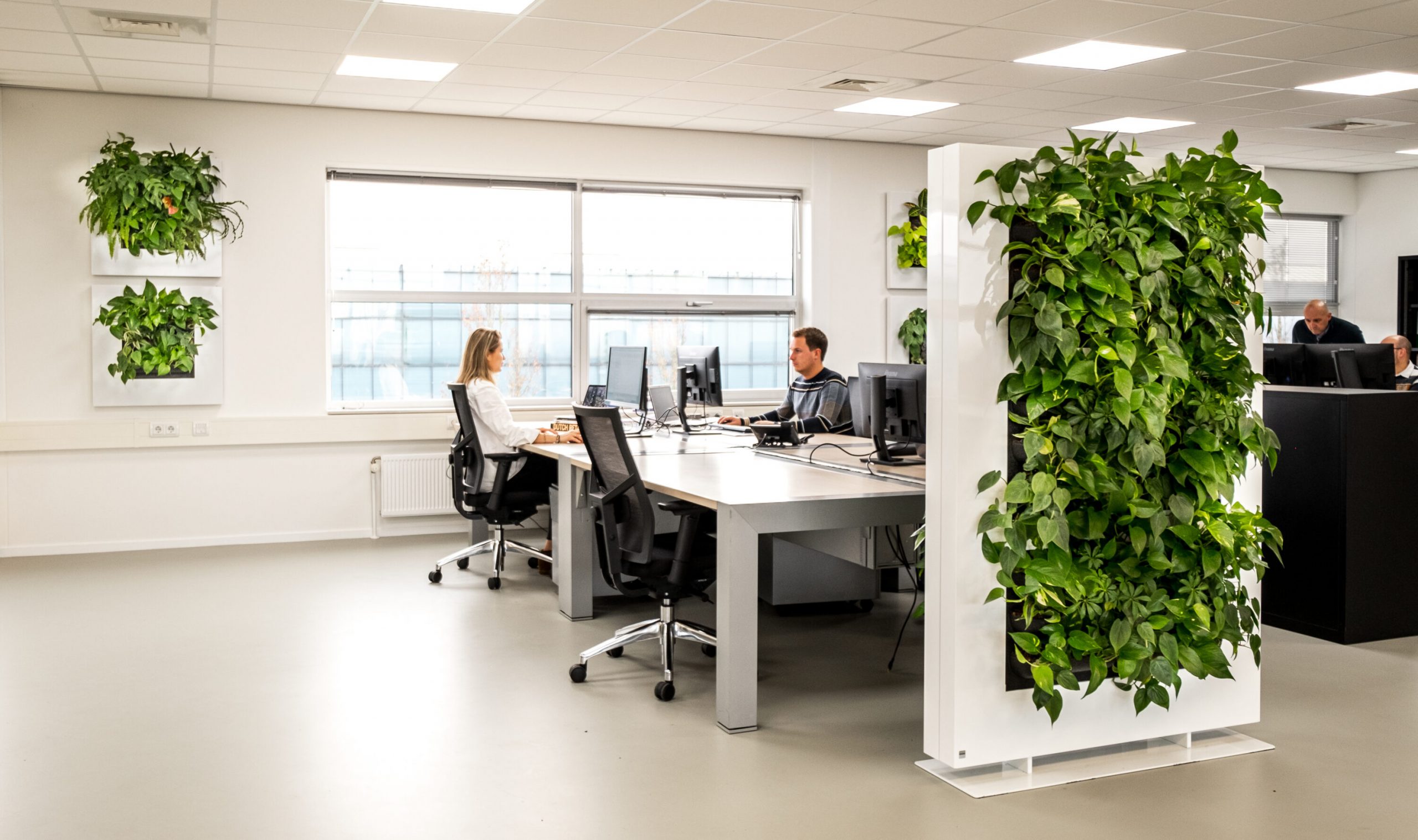 Verticaal groen op kantoor voor een gezonde (thuis)werkplek