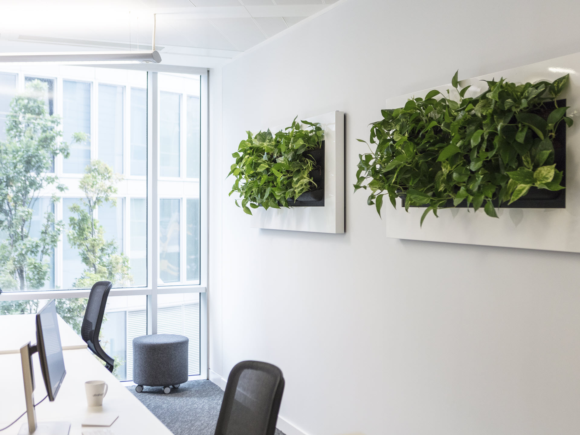 Bloemsierkunst Groeneveld LivePicture plantenlijst voor kantoor