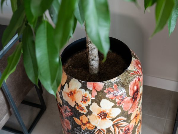 Bloemenvazen Penny peach designed by Lammie - speciale collectie bij Bloemsierkunst Groeneveld