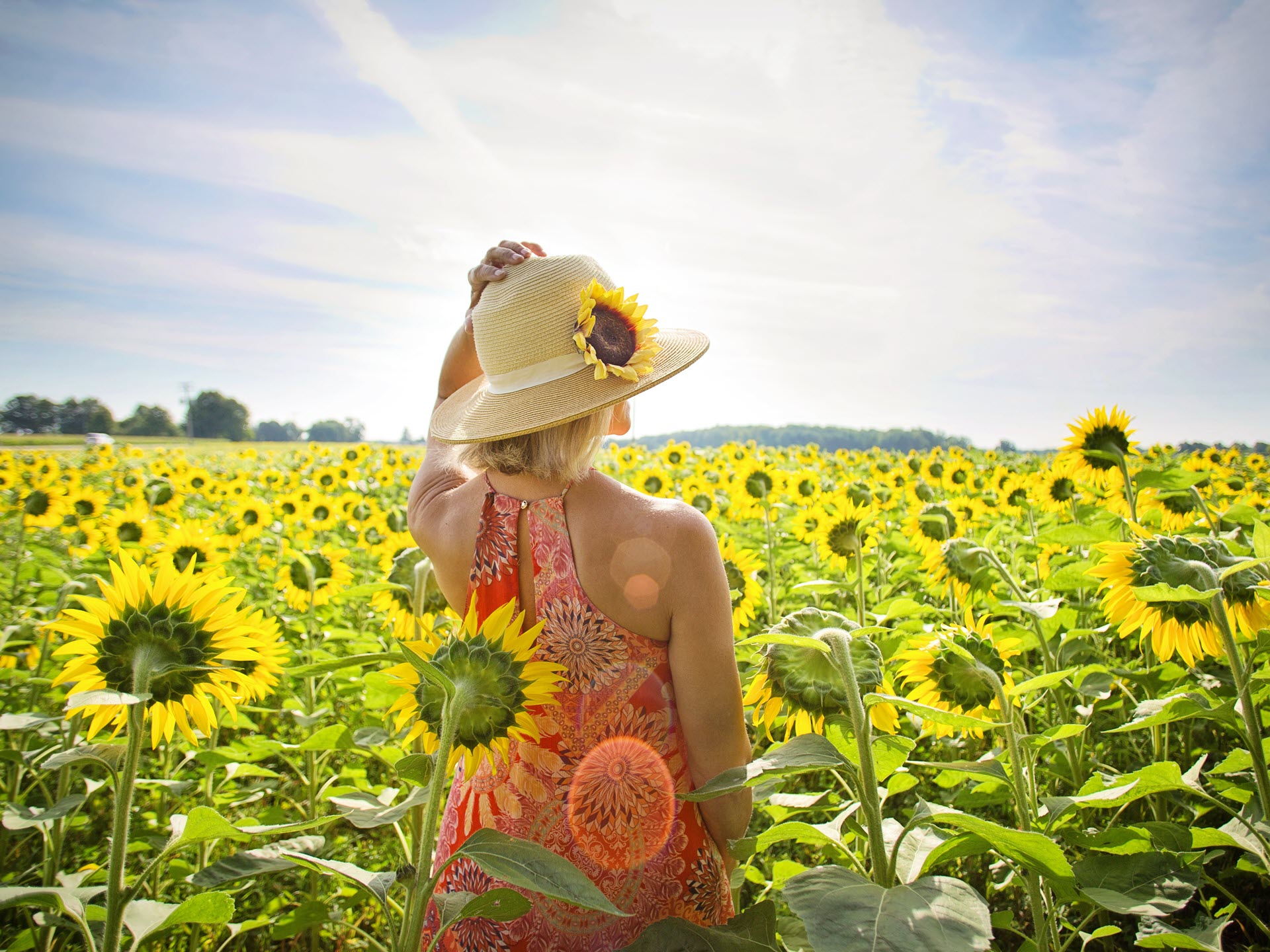 Blijf genieten van bloemen bij warm weer