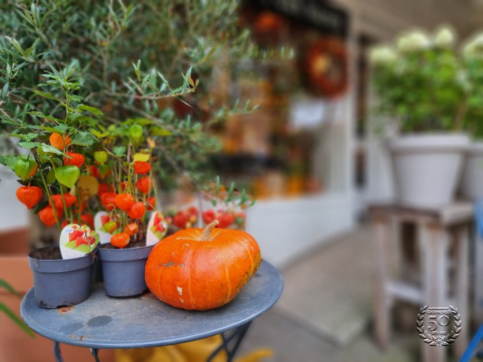 Herfst bij Bloemsierkunst Groeneveld | Stap binnen, puur genieten!