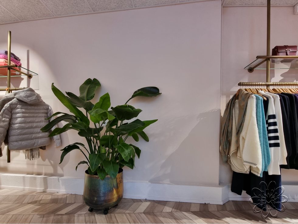 Bel Fiore damesmode Haren interieurinrichting met planten
