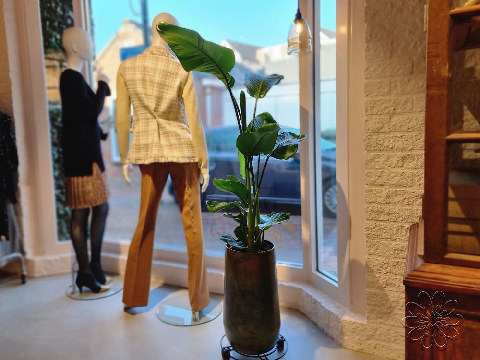 Bel Fiore damesmode Haren interieurinrichting met planten