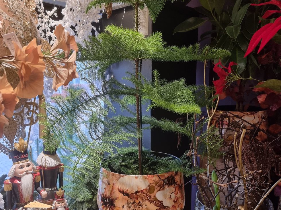 Bloemsierkunst Groeneveld heeft stijlvolle alternatieve kerstboom voor kerstsfeer in huis