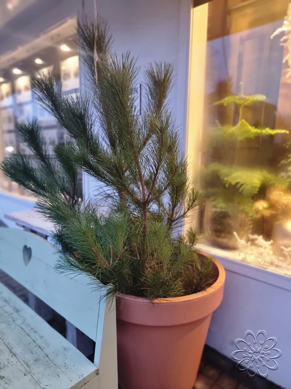 Bloemsierkunst Groeneveld heeft stijlvolle alternatieve kerstboom voor kerstsfeer in huis