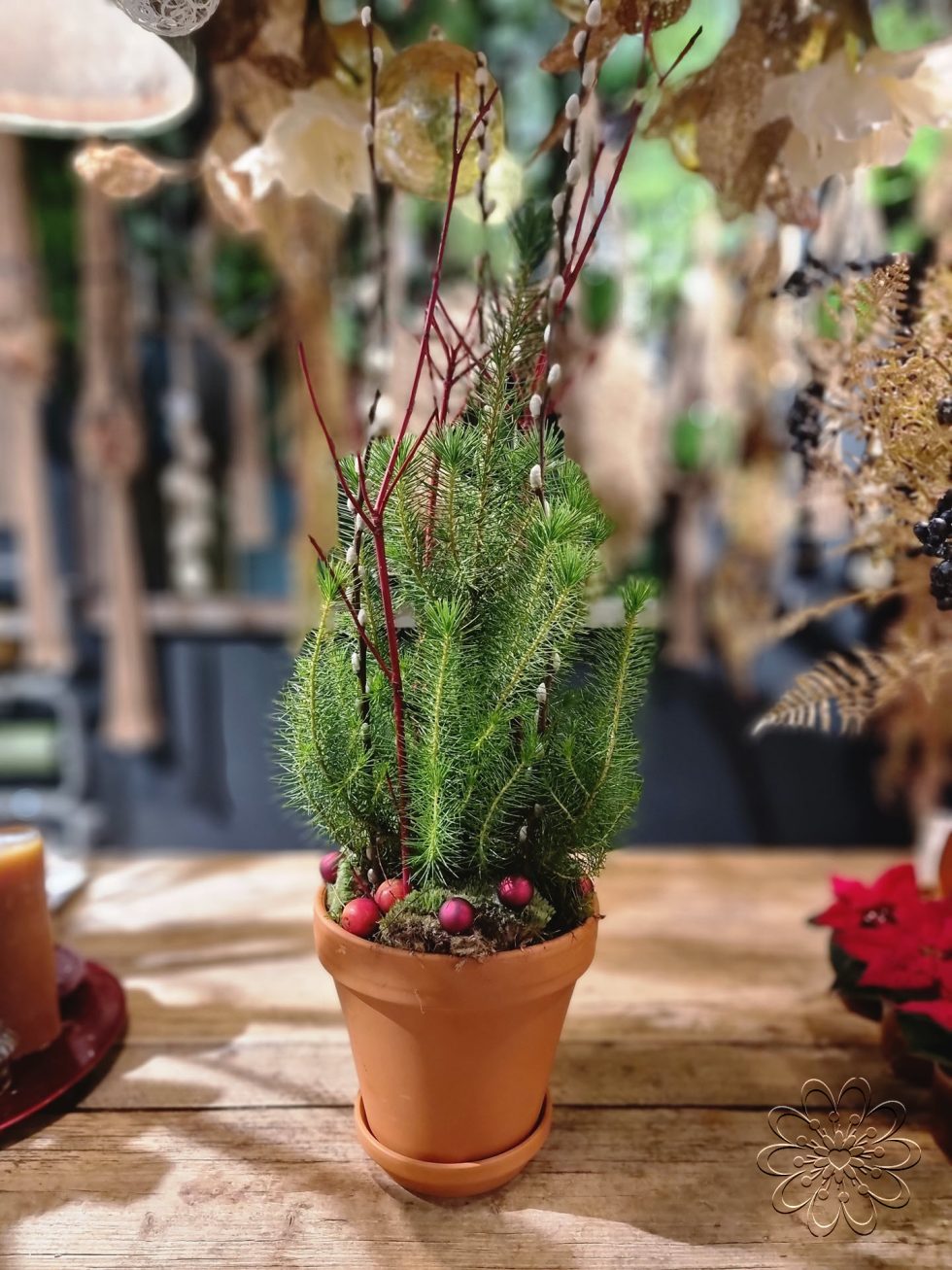 Bloemsierkunst Groeneveld heeft stijlvolle alternatieve kerstboom voor kerstsfeer in huis