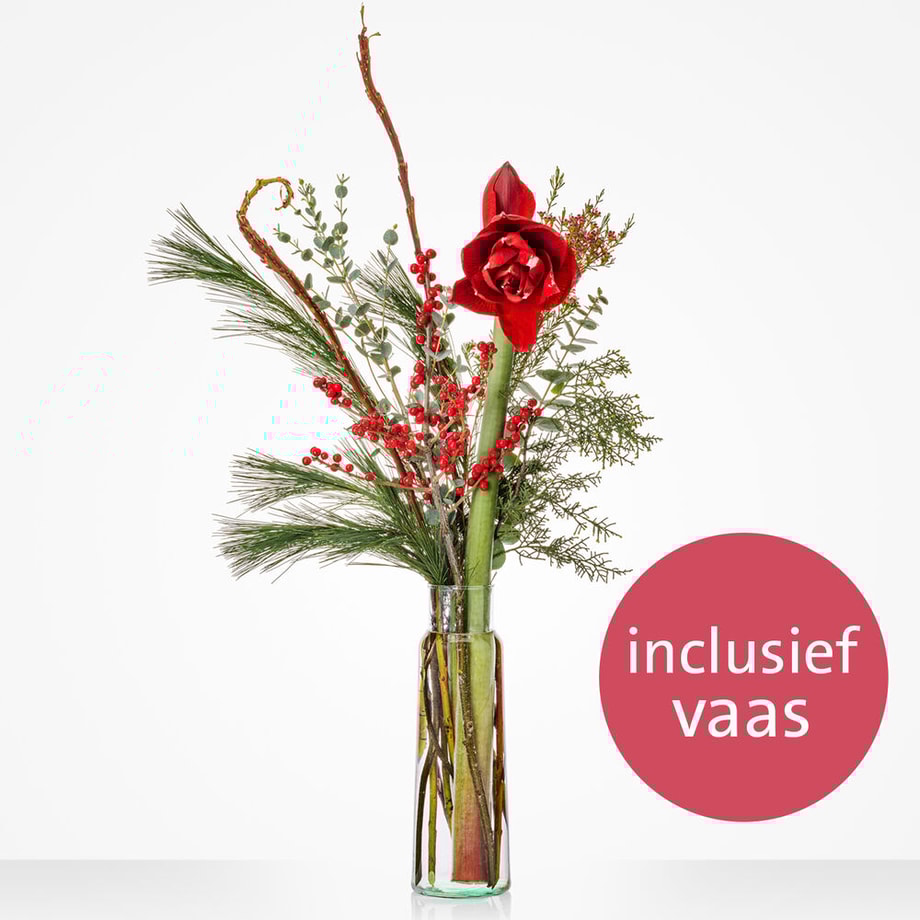 Fleurop boeket Vaasverrassing Amaryllis