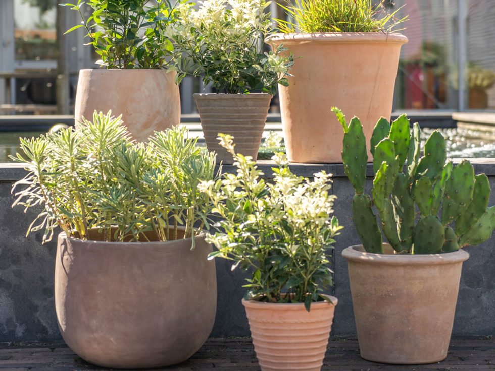 Ter Steege TS Collection - Terracotta potten voor buitenplanten