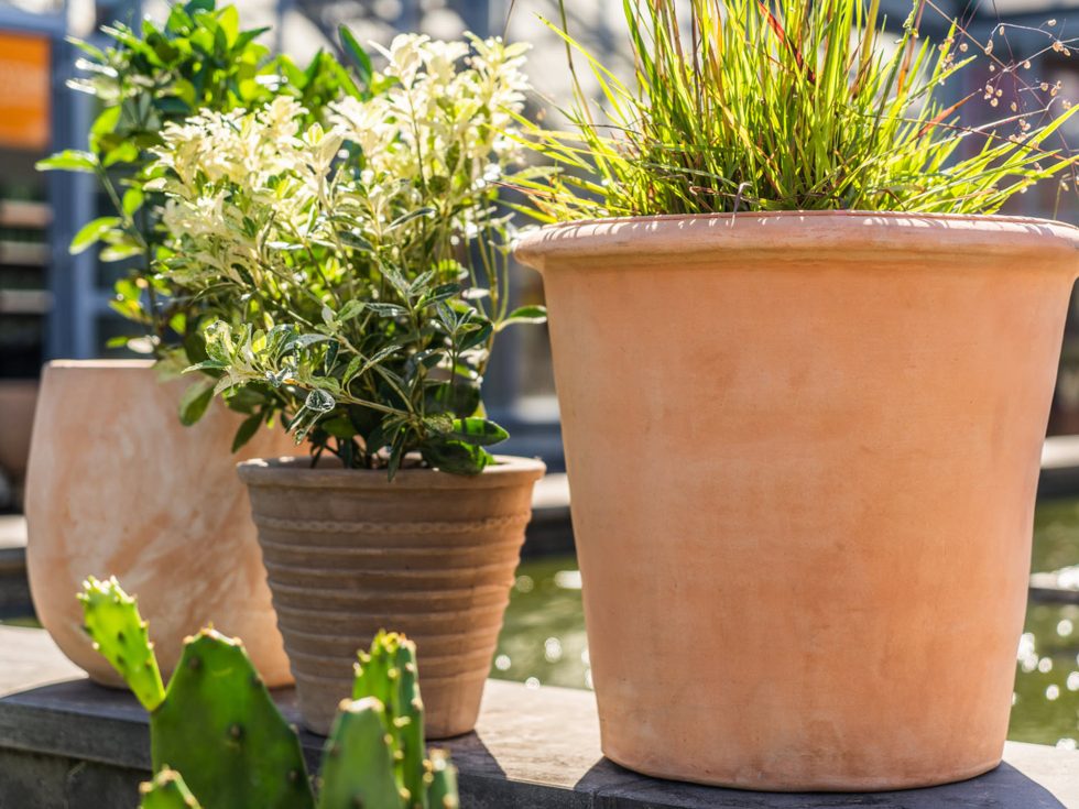 Ter Steege TS Collection - Terracotta potten voor buitenplanten