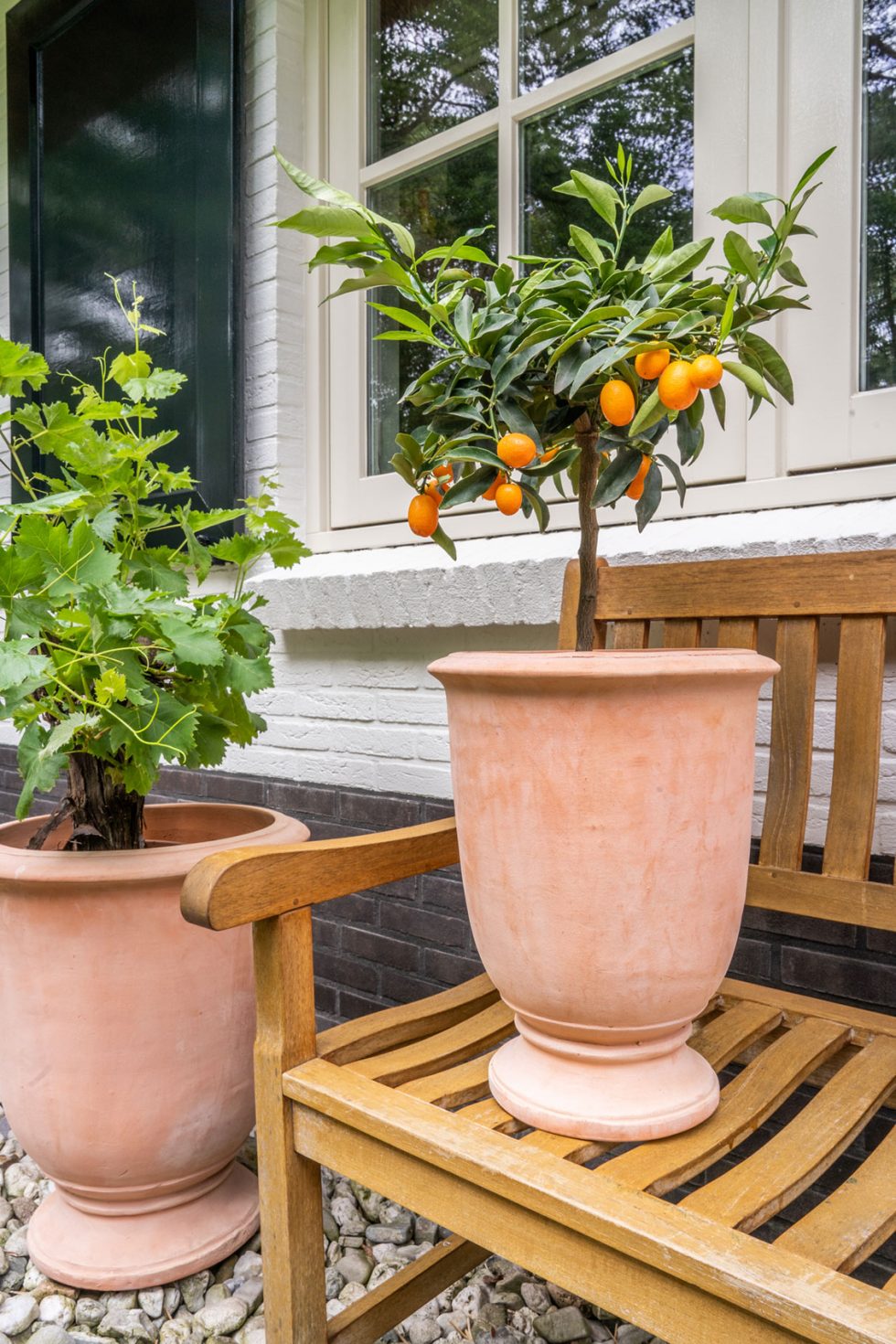 Ter Steege TS Collection - Terracotta potten voor buitenplanten