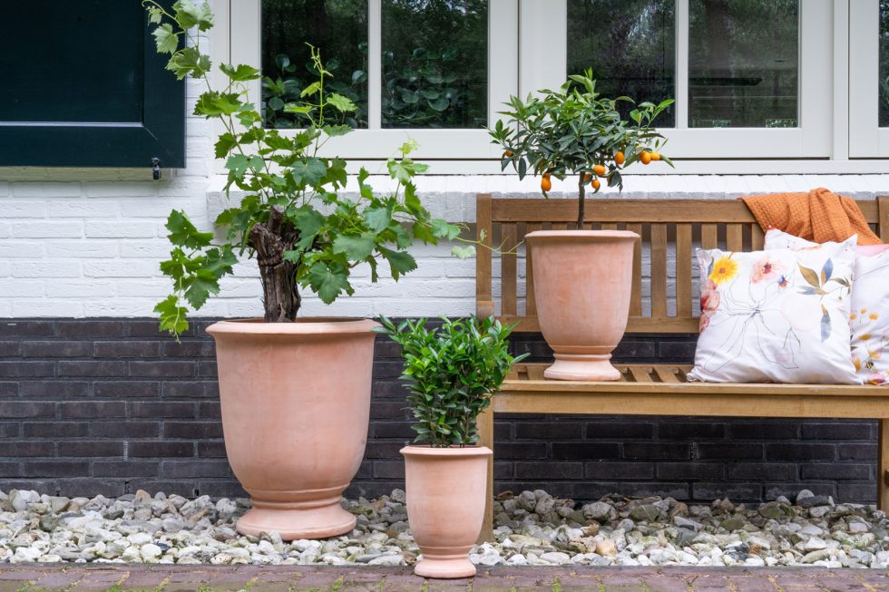 Ter Steege TS Collection - Terracotta potten voor buitenplanten
