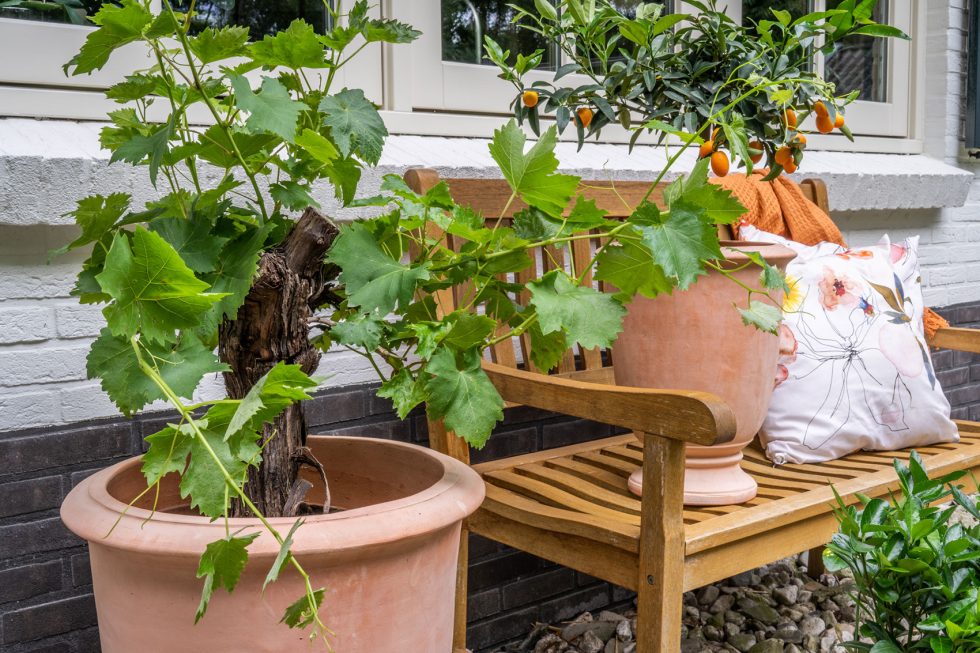 Ter Steege TS Collection - Terracotta potten voor buitenplanten