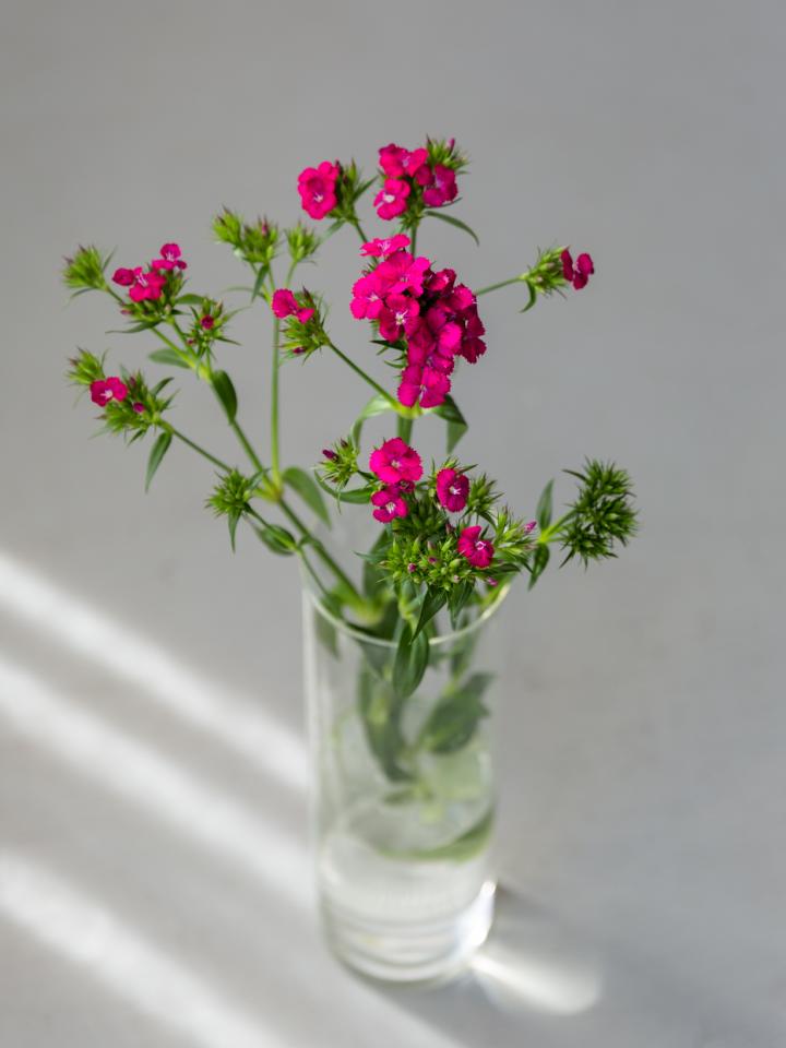 Bloemsierkunst Groeneveld - typische zomerbloemen