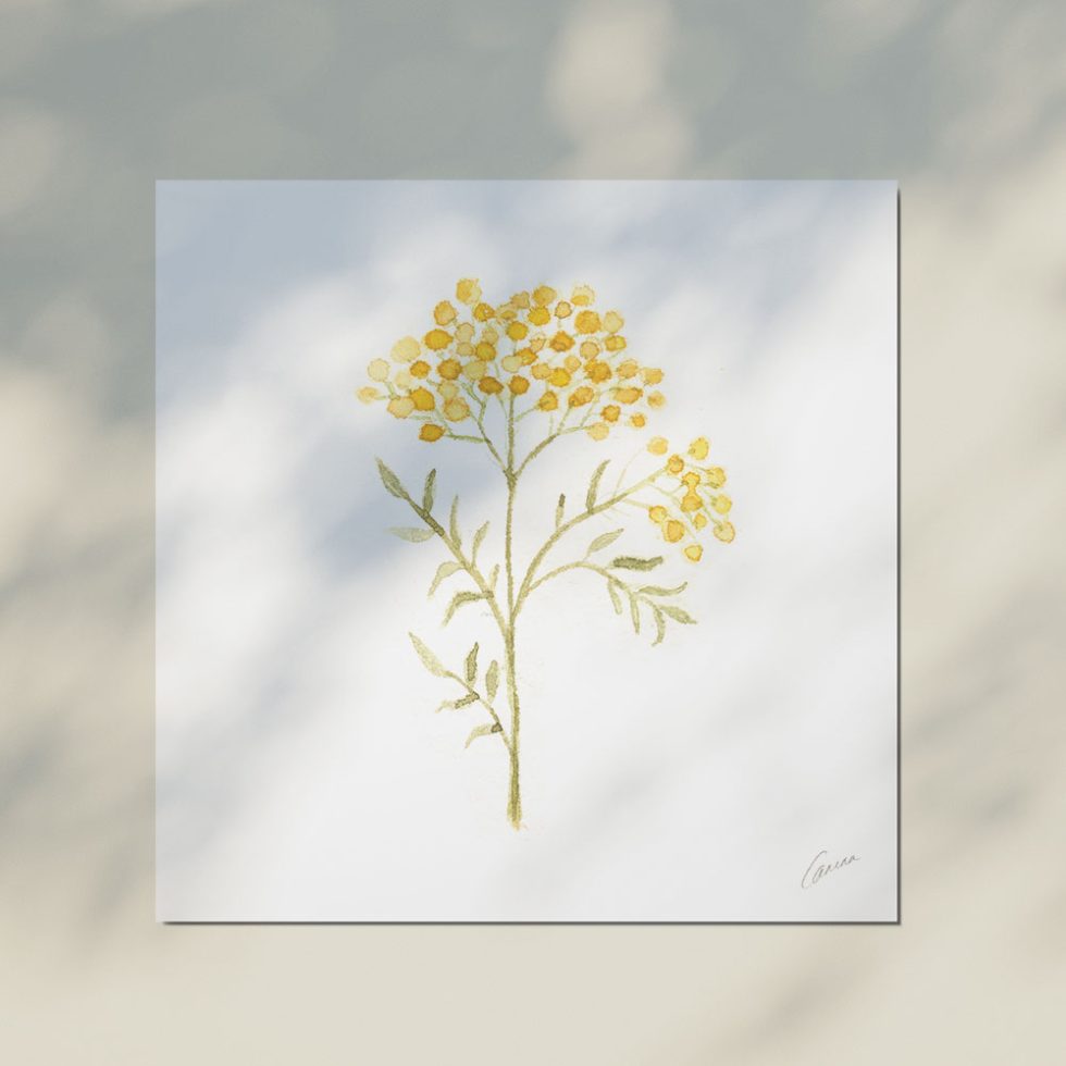 Bloemsierkunst Groeneveld boeket kaartje Carina Ligthart