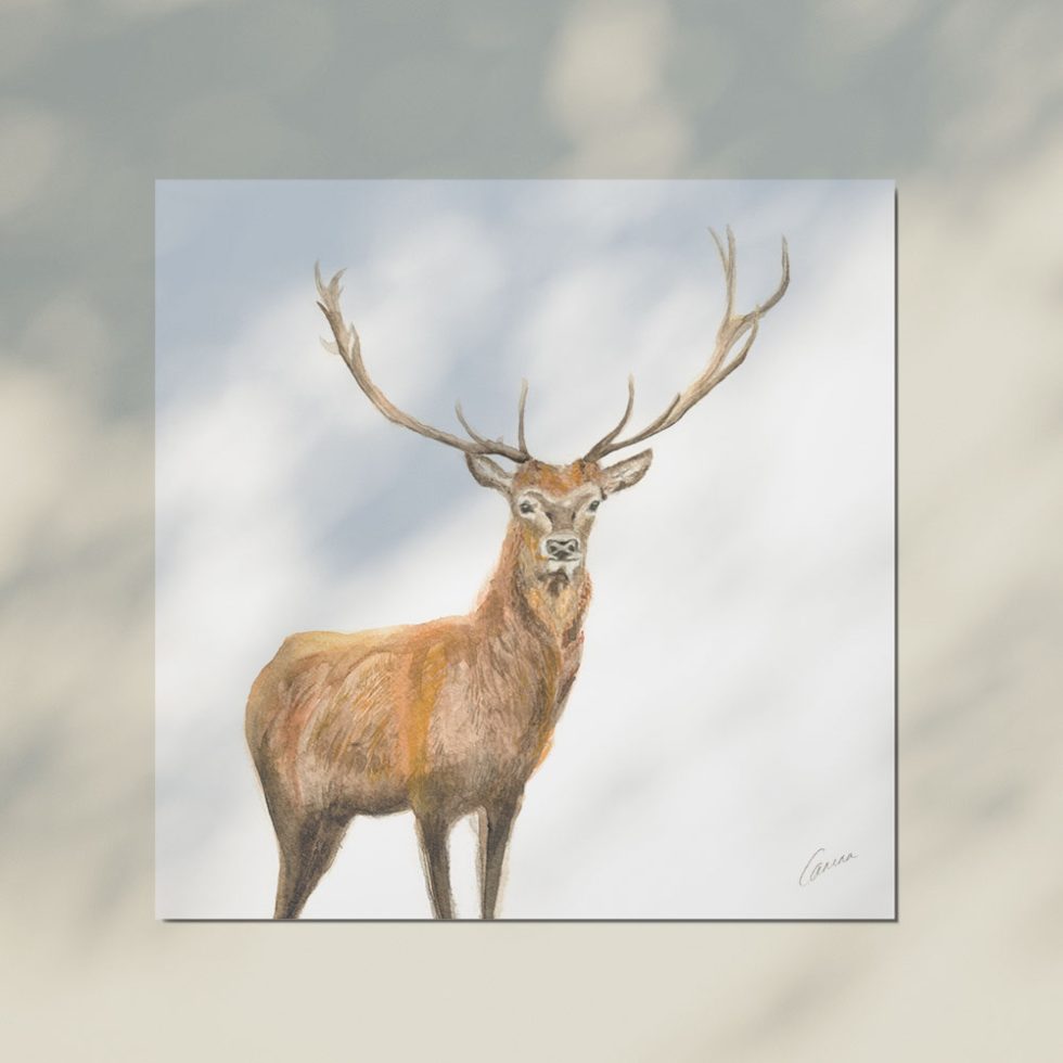 Bloemsierkunst Groeneveld boeket kaartje Carina Ligthart