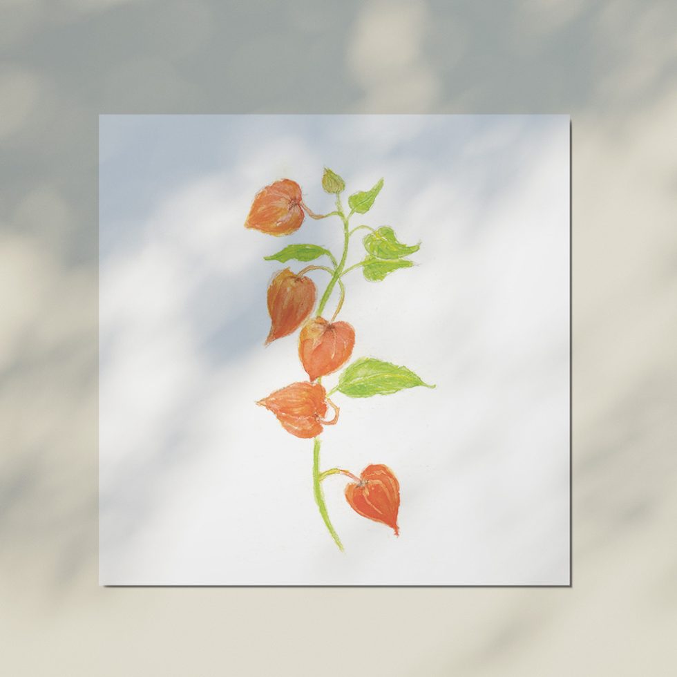 Bloemsierkunst Groeneveld boeket kaartje Carina Ligthart