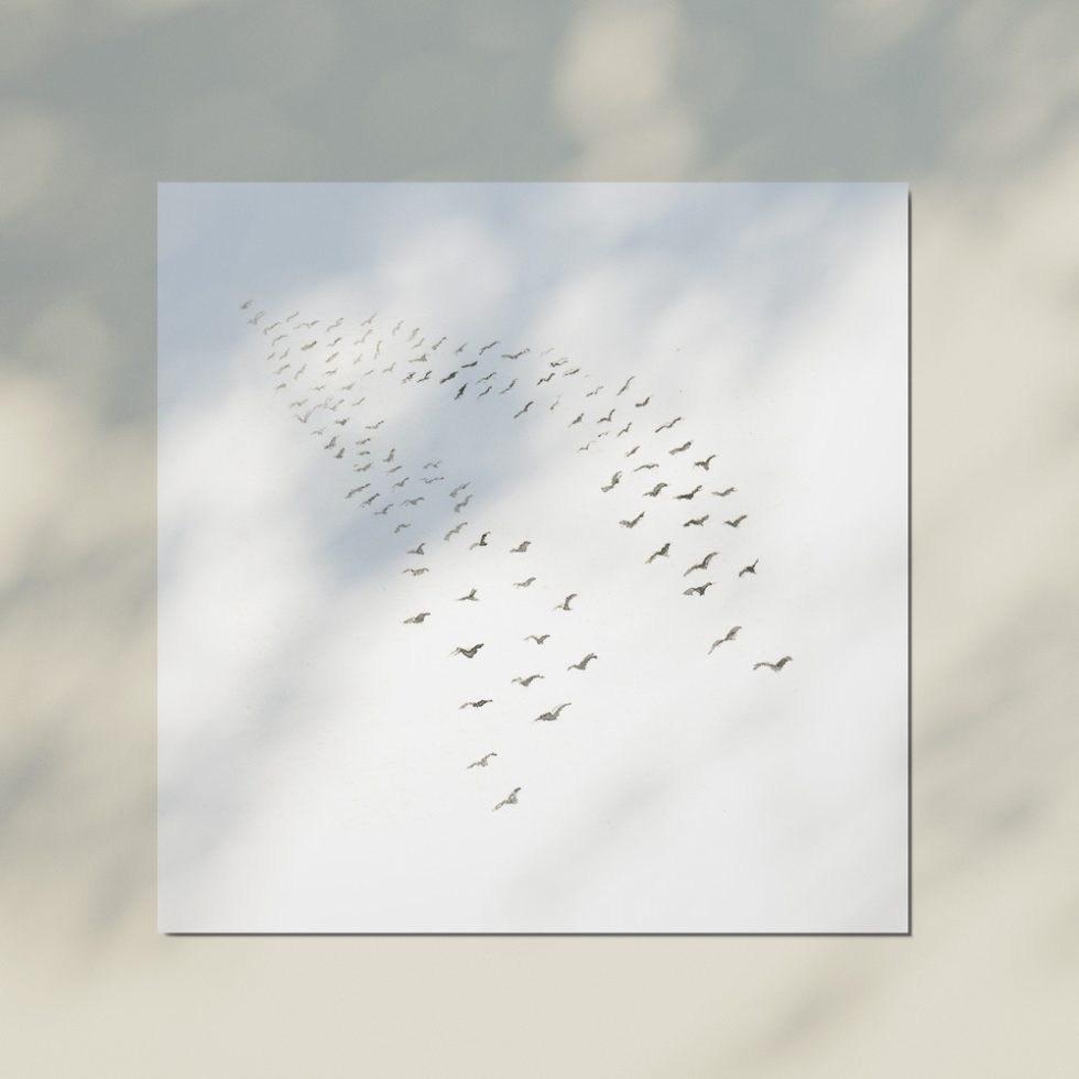 Bloemsierkunst Groeneveld boeket kaartje Carina Ligthart