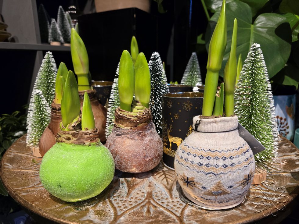 Bloemsierkunst Groeneveld - kerst - kerstkrans - kerststuk