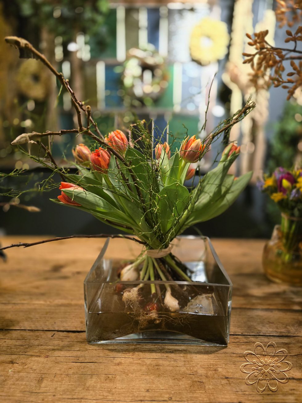 Bloemsierkunst Groeneveld - Groningen - Kamerplanten en bloembollen