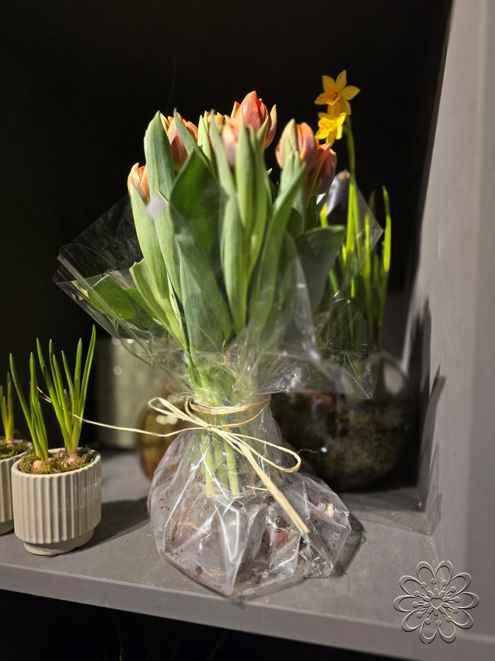 Bloemsierkunst Groeneveld - Groningen - Kamerplanten en bloembollen