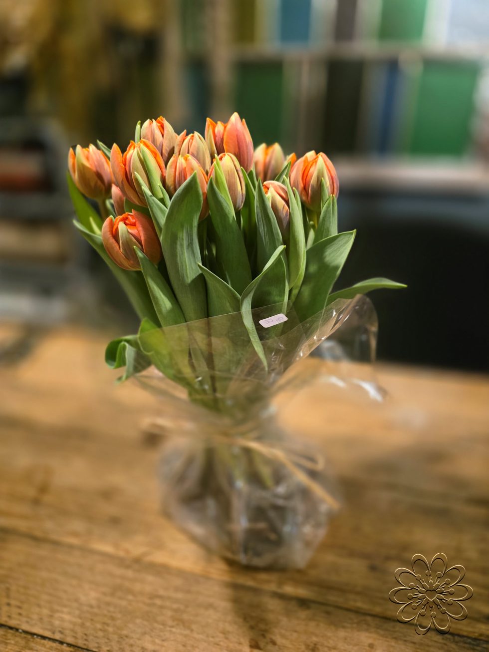 Bloemsierkunst Groeneveld - Groningen - Kamerplanten en bloembollen