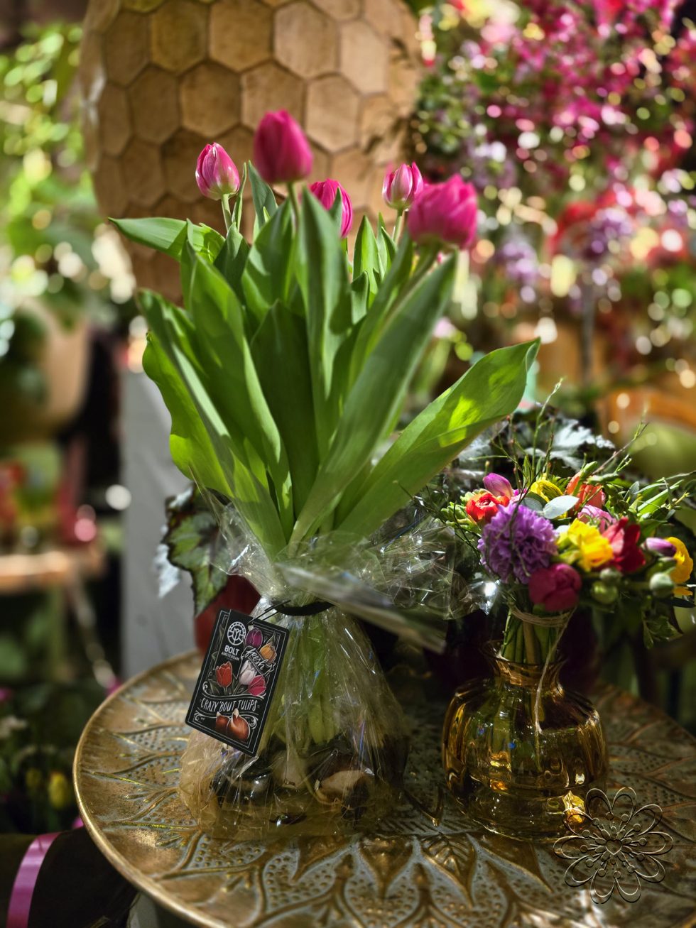 Bloemsierkunst Groeneveld - Groningen - Kamerplanten en bloembollen