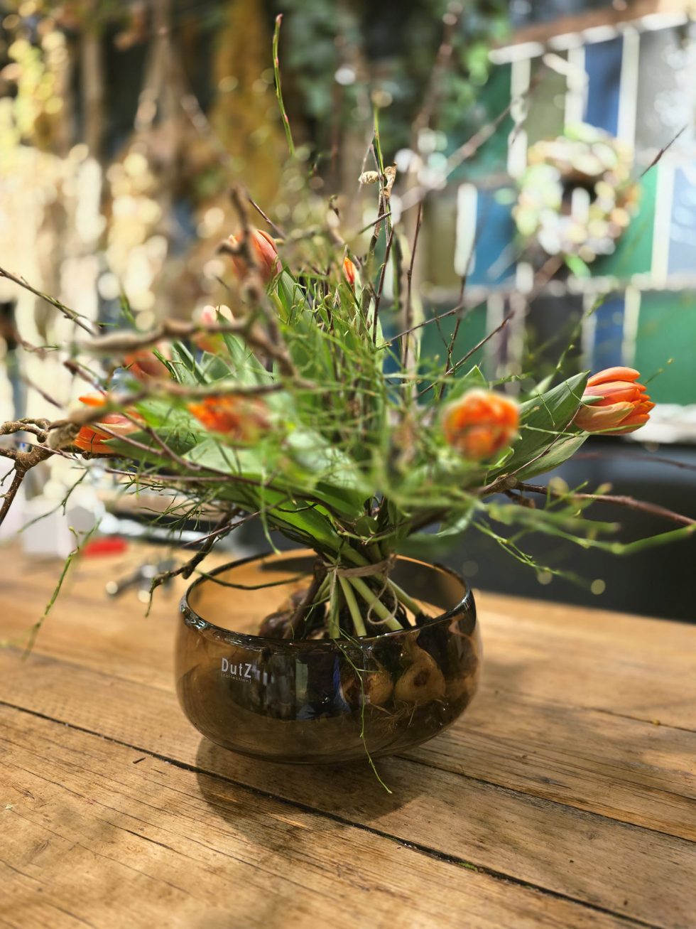 Bloemsierkunst Groeneveld - Groningen - Kamerplanten en bloembollen