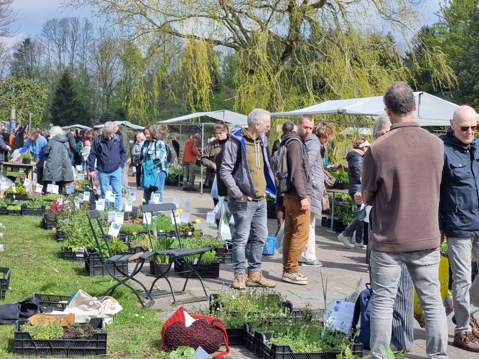Hortus Botanicus Haren - plantenmarkt