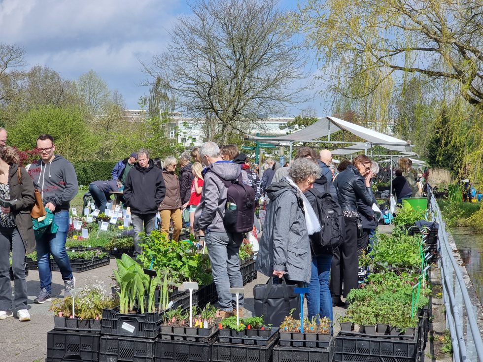 Hortus Botanicus Haren - plantenmarkt