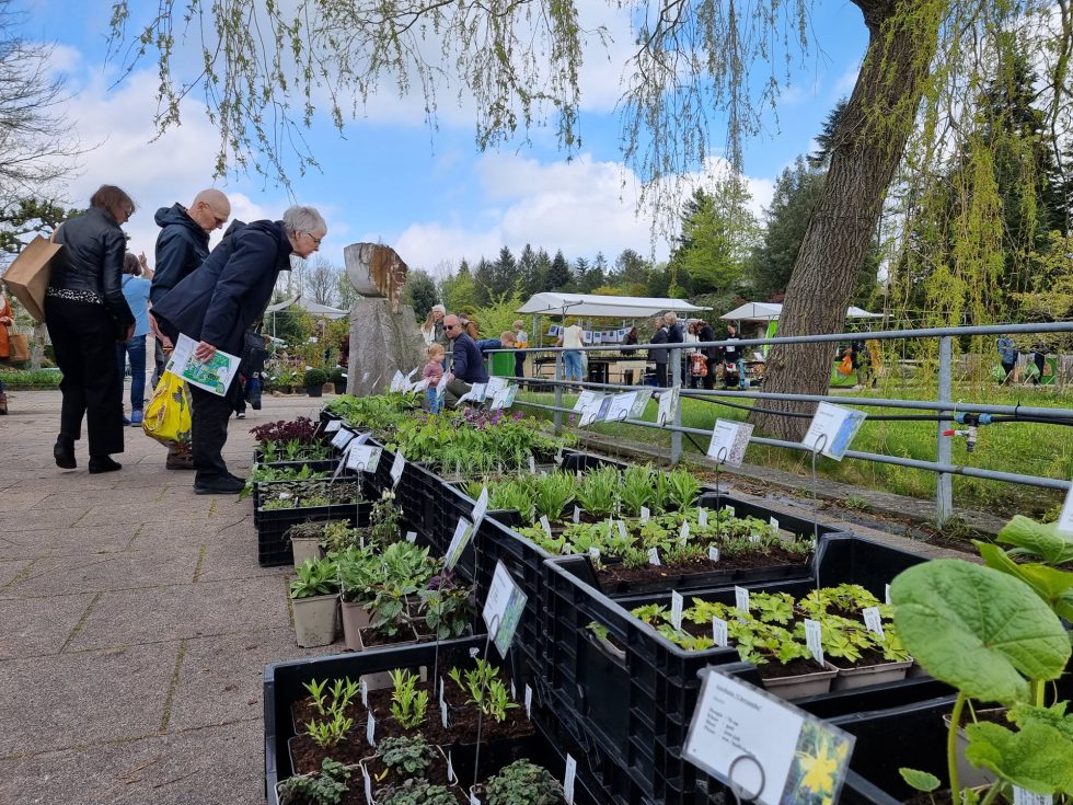 Hortus Botanicus Haren - plantenmarkt