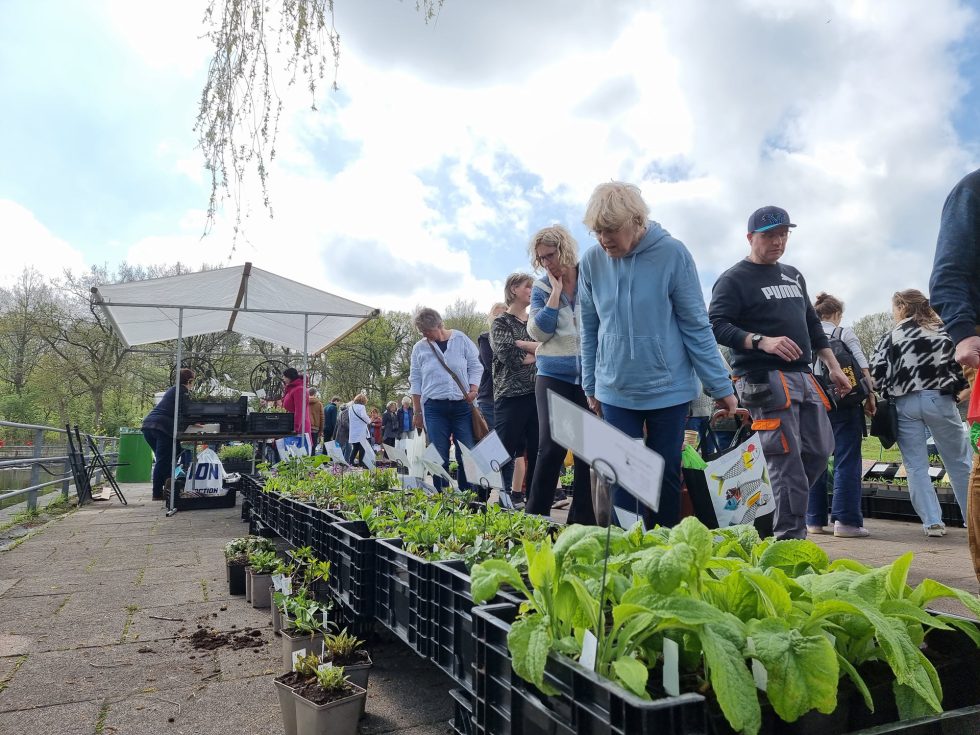 Hortus Botanicus Haren - plantenmarkt
