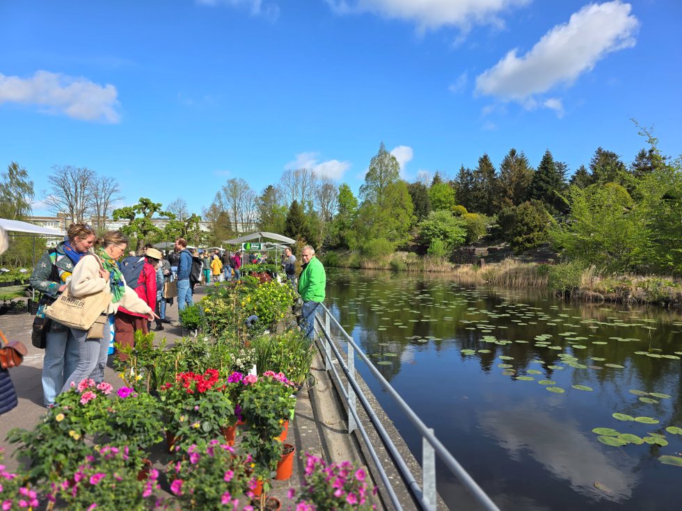 Hortus Botanicus Haren - plantenmarkt