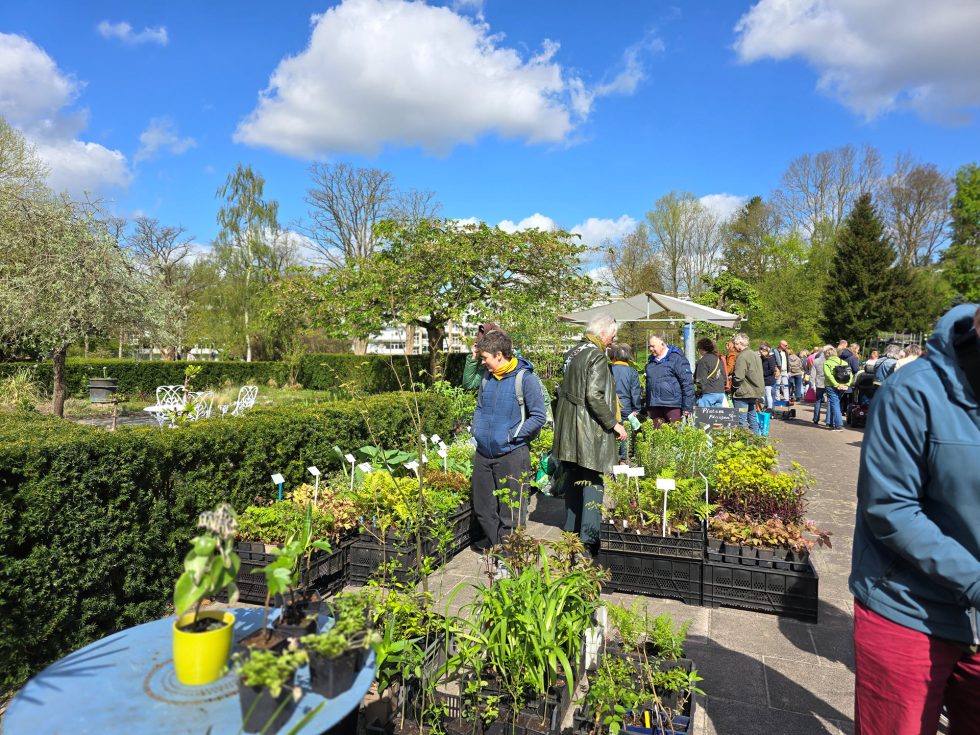 Hortus Botanicus Haren - plantenmarkt