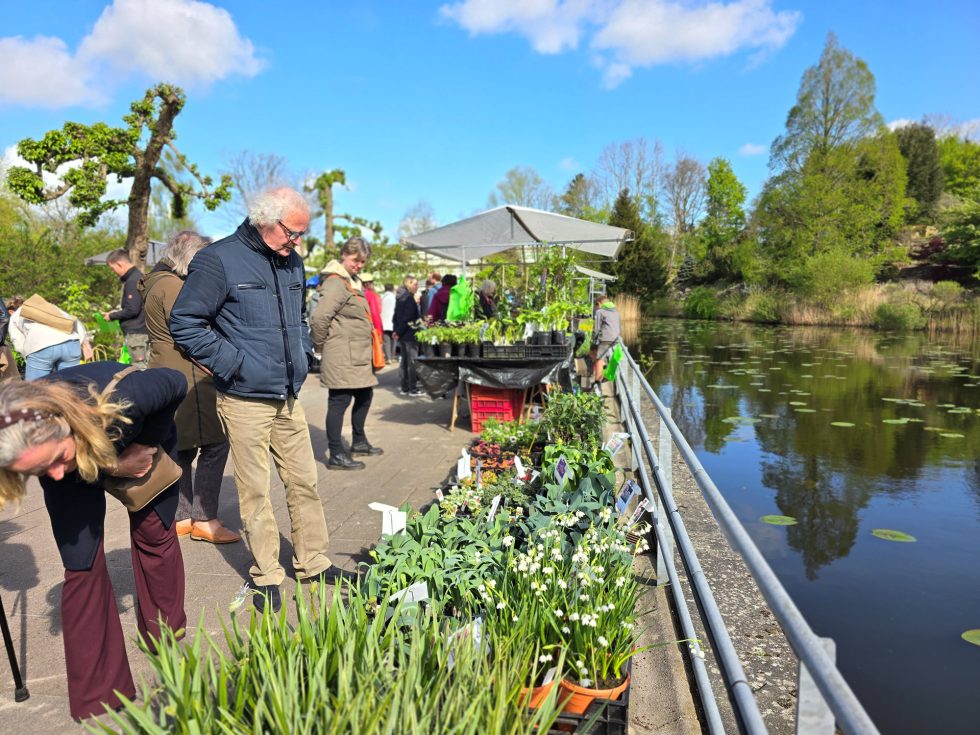 Hortus Botanicus Haren - plantenmarkt