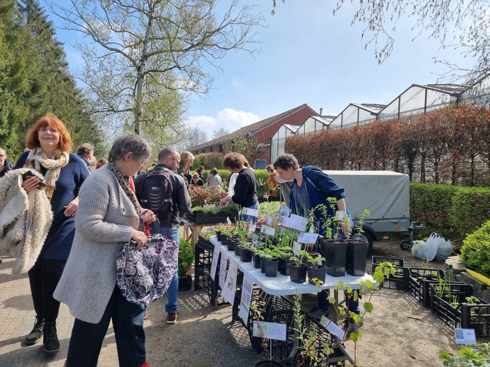 Hortus Botanicus Haren - plantenmarkt