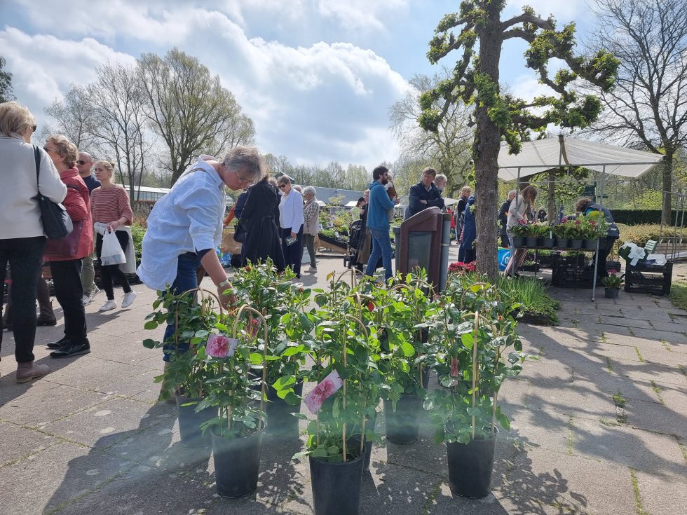 Hortus Botanicus Haren - plantenmarkt