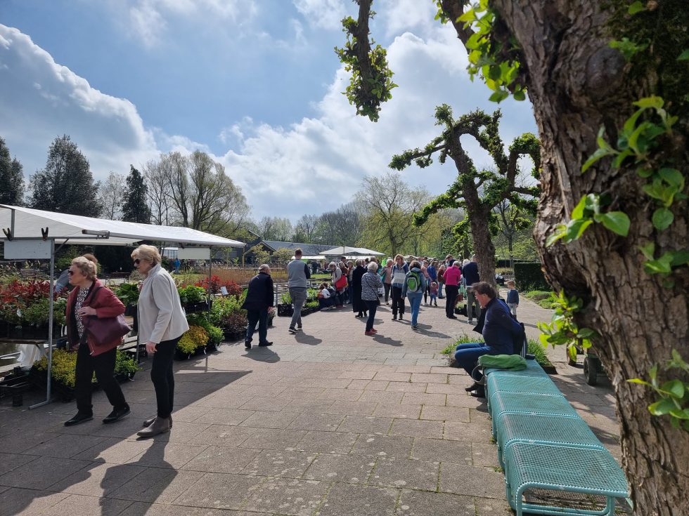 Hortus Botanicus Haren - plantenmarkt